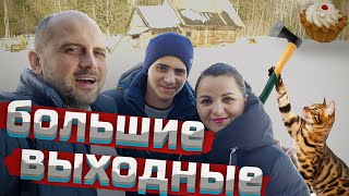 Жизнь на хуторе в лесу.Кошку пчёлку пришлось увезти с хутора. Рекорд по дегустациям .