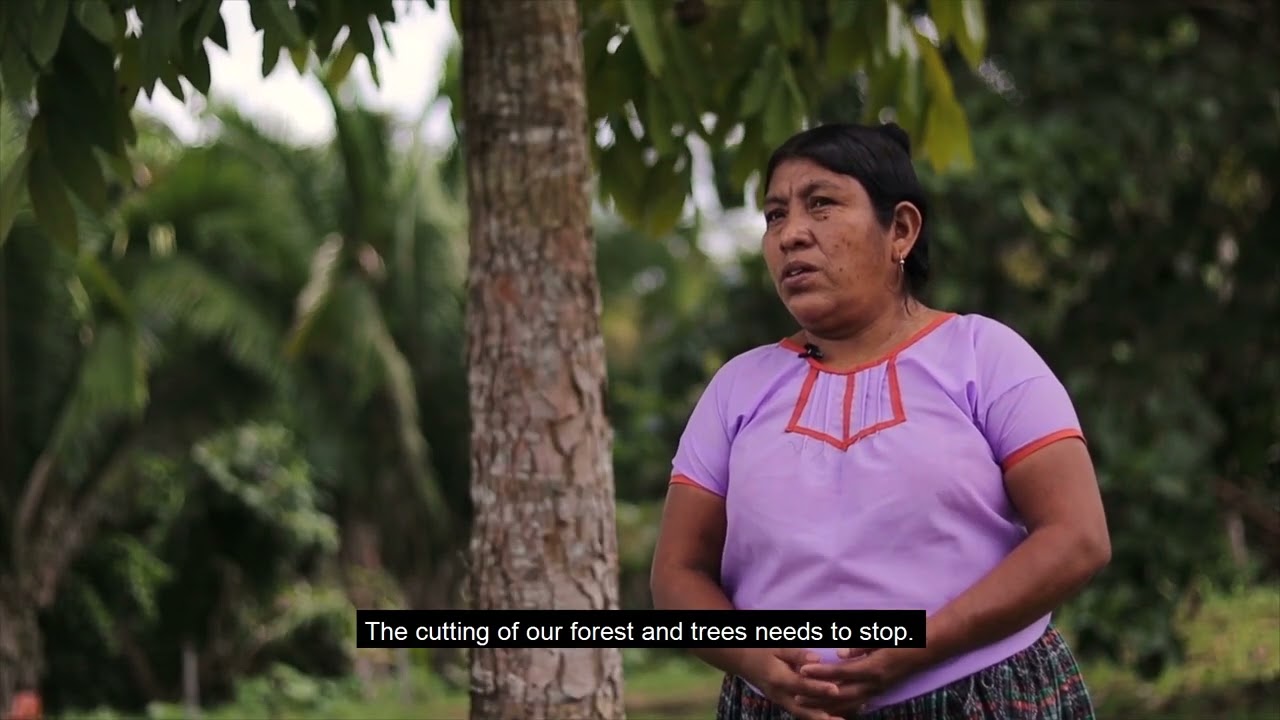 Indigenous People & Climate Change