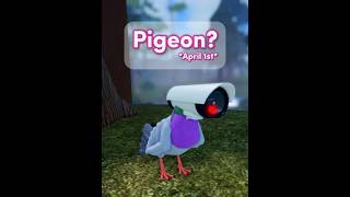 Pigeon? * april fool's 🕊️🐣 in Feather Family #RobloxShorts #FeatherFamily