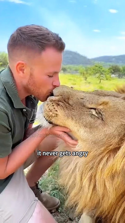 The man adopted an abandoned little lion,bringing unexpected joy #animals #rescue #shorts #healing