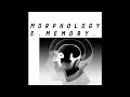 Morphology - Karma Flies [AF020]