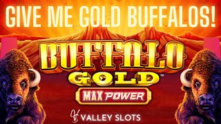 How Many Gold Buffalos Did We Collect on Buffalo Gold Max Power Slot Machine?