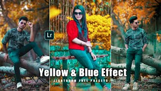 Yellow And Blue Lightroom Presets || Lightroom Presets Tutorial screenshot 4