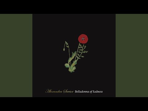 Vanishing Point - Alexandra Savior