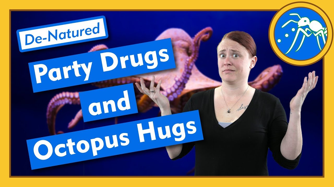 ⁣Party Drugs and Octopus Hugs - De-Natured