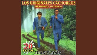Video thumbnail of "Los Originales Cachorros Hermanos Villareal - Un Complejo"