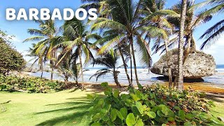 Experience the Island of Barbados | Visit 8 Beaches on Barbados | Things To Do in Barbados