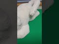 分割カラオケ2(Short Ver.) 僕と君の最小公倍数 山崎まさよし