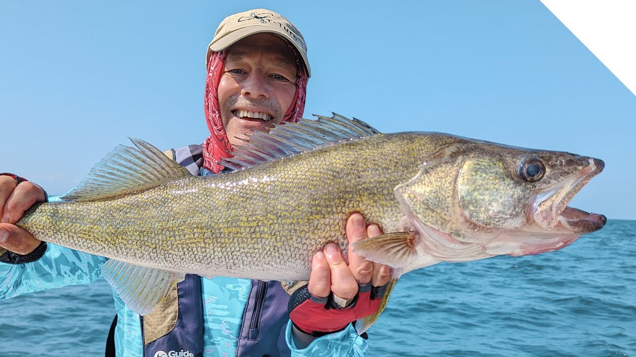 Catching a 10lb Walleye! 