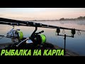 КОРОТКАЯ СЕМЕЙНАЯ РЫБАЛКА НА КАРПА. Бешеный КЛЕВ и куча СХОДОВ!