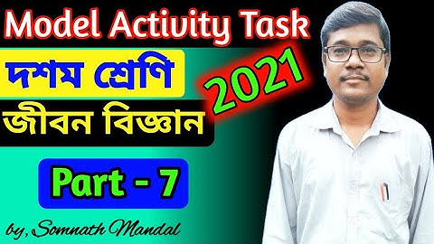 Class 10 Life science Model Activity Task Part 7  // Wbbse Model Activity Task 2021