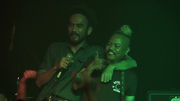 The Paps - Have Fun Around (live concert)