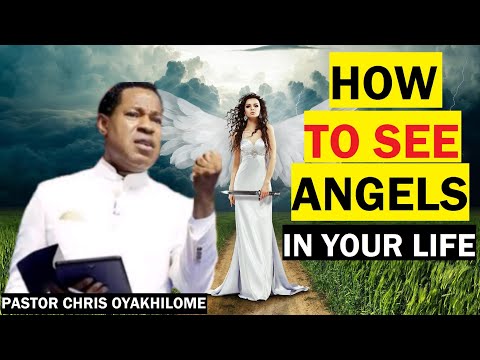 What Angels Do