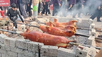 Quá nhiều Lợn quay quá hấp dẫn trong ngày hội phong vân lục ngạn Bắc Giang