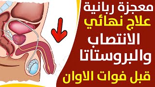 الزنجبيل العشبة الرهيبة بفوائدها الجبارة تعرف على طرق الاستفادة منه علاج البروستاتا والانتصاب والجنس