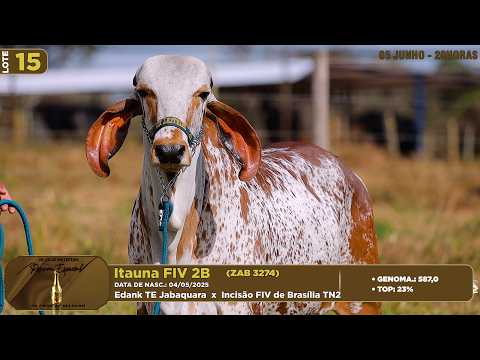 LOTE 15   ZAB 3274