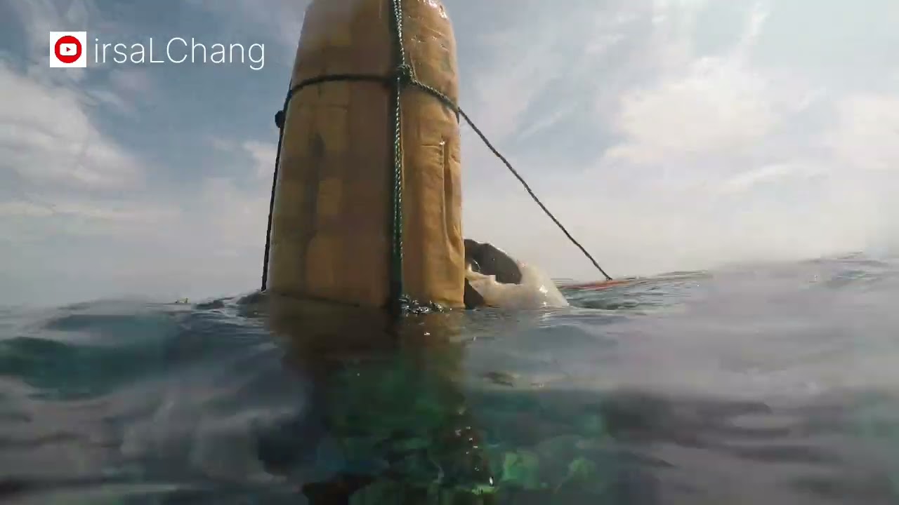 Spearfishing di spot yang dihuni Para monster ‼️😯