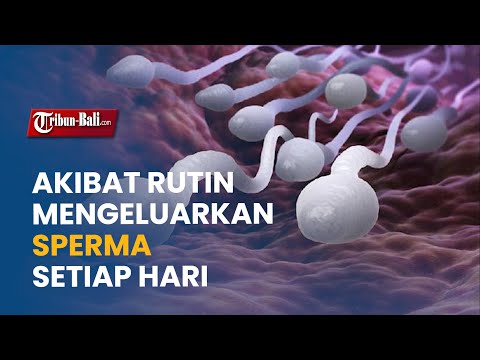 RUTIN MENGELUARKAN SPERMA SETIAP HARI