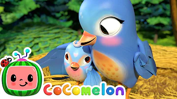 Five Little Birds Song! | CoComelon Furry Friends | Animals for Kids