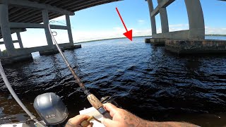 YOU WON'T BELIEVE THIS!! Catching Monster fish with cut BLUE CRAB in FRESHWATER. Catch and Cook