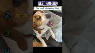 Don't laugh 🤣🤣#funny #foryou #funnyvideo #fyp #funnytiktok #Interesting #videos #laugh #comedy #fun