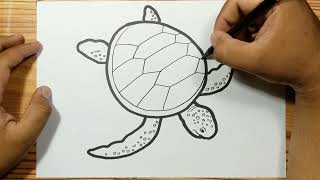 SEA TURTLE EASY DRAWING