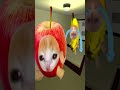 バナナ猫が遅刻した!?🍌😿Bananacat overslept#gmod #bananacat #shorts