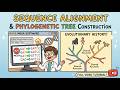 Sequence Alignment and Phylogenetic Analysis using MEGA : Basic Bioinformatics