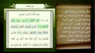 الإمام المهدي (ع) في القرآن الكريم