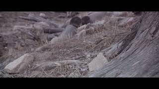 Celebrity JacksonEverest ShadowMarsh 2 Wealth