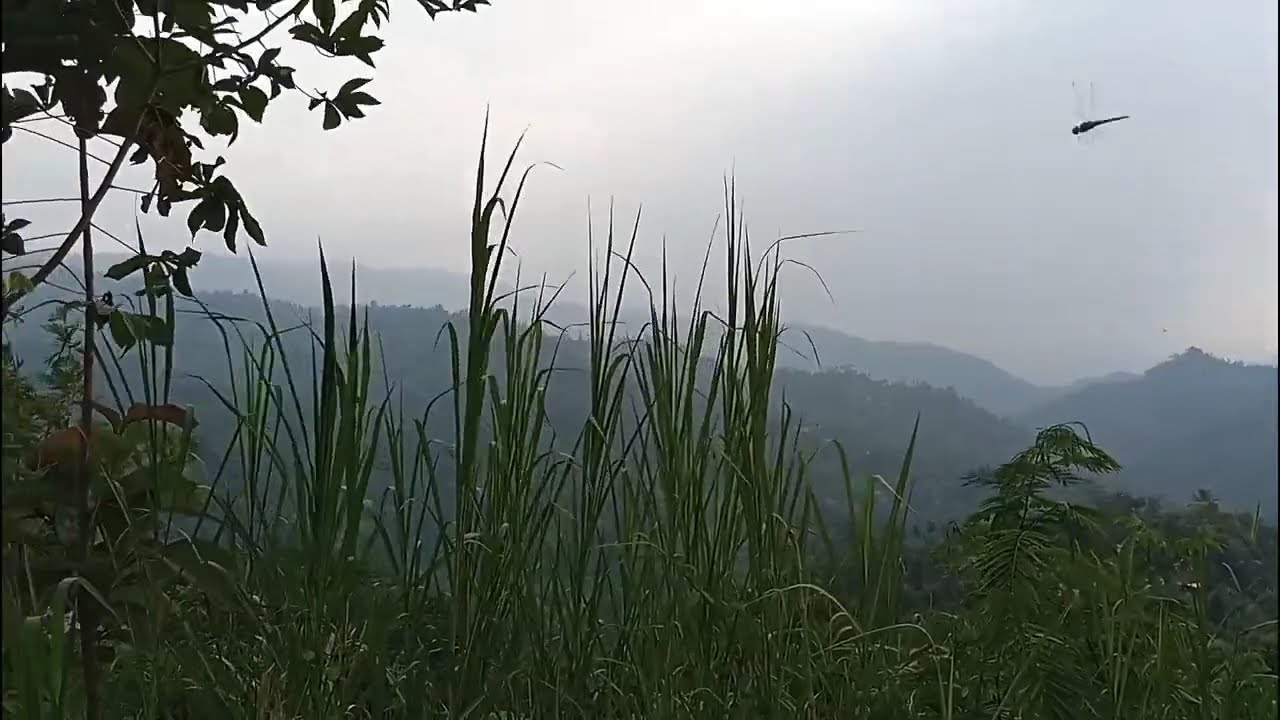 Bukit BOWONGAN, Gemawang - Brenggolo - JATIROTO yang ASRI, SEJUK dan  INDAH