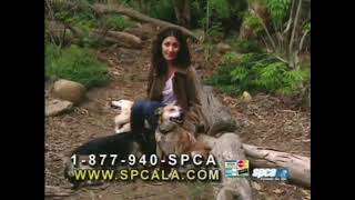Lisa Edelstein SPCA LA Television Special 2006
