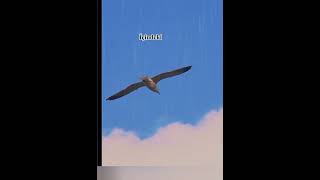 Ne Kadar Uzağa Gidersen Git Başladığın Yere Dönersin.🥀