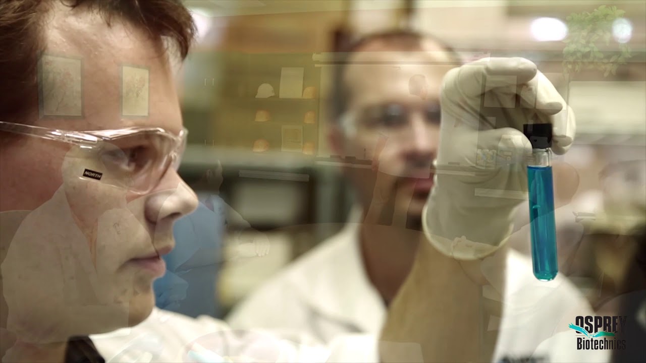 Sarasota Video Production company (2018 Demo)