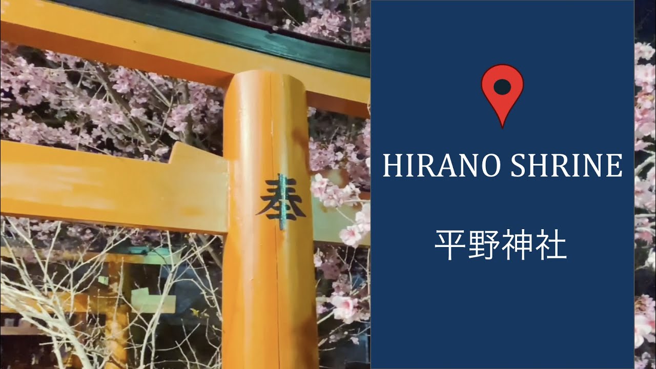 京都 平野神社の夜桜 21年3月 京都 Kyoto 桜 Youtube 京都 平野神社の夜桜 21年3月 京都 Kyoto 桜 Youtube