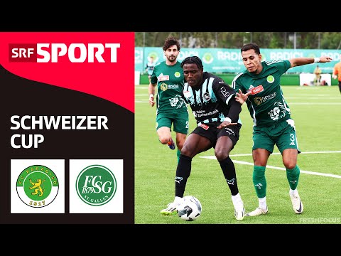 Video Highlights