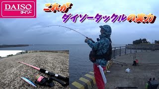 青物連発！DAISOロッドとリールが悲鳴をあげる！？【ダイソールアーフィッシング】