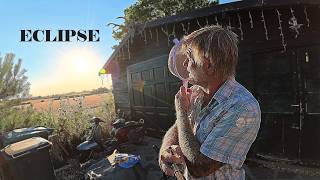 I Filmed the Eclipse Then Norwich Had Its Hottest Day Ever