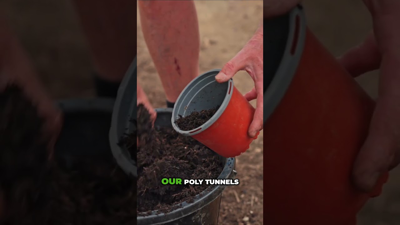 Home Farm at Harbour View: A Sustainable Legacy of Remembrance