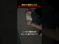 散歩中に寝落ちした犬連れてかれても気づかなそうwww