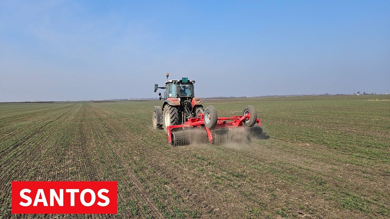 PRIHRANA PŠENICE I VALJANJE OBAVLJA SE NA TERITORIJI SREDNJOBANATSKOG OKRUGA I ŠIRE