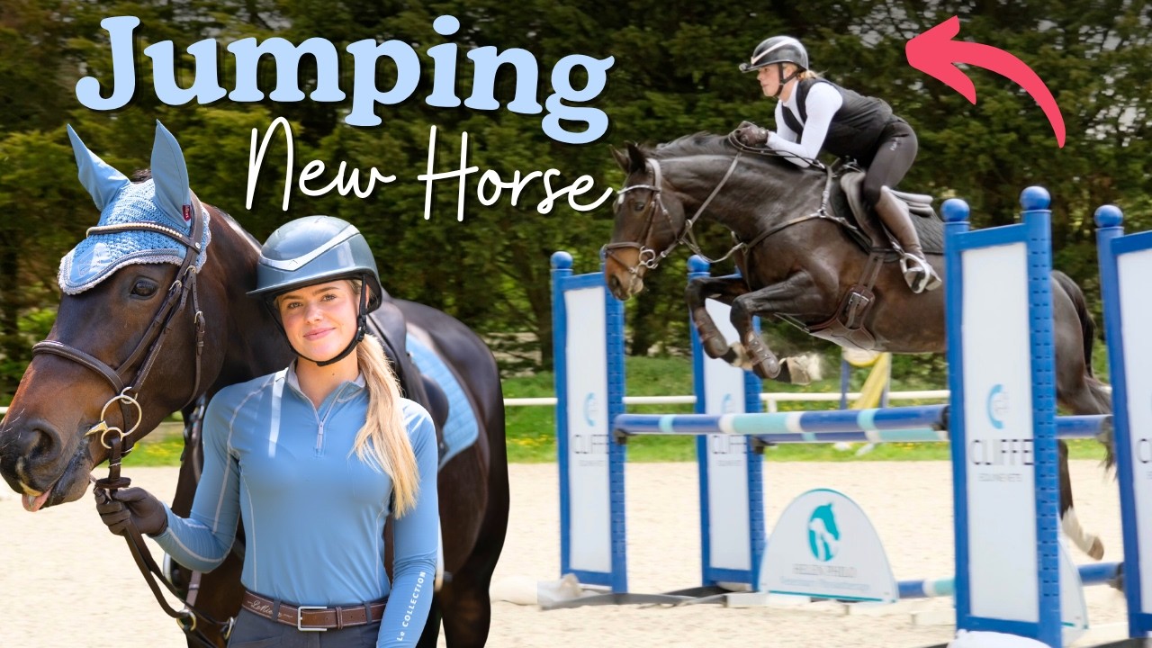 Play: Horse jump training, including the bits that go wrong