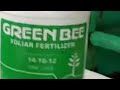 Green bee foliar fertilizerpangpalosog sa bunga ng palay 219