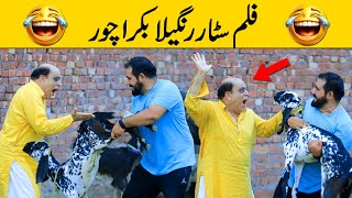 Film Star Rangeela Bakra Chor Best Prank | @saharabanoo_velleloogkhana8602 | @VelleLoogprankster 