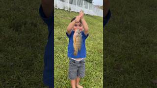 3 year old fishing for invasive Mayan Cichlid in Miami