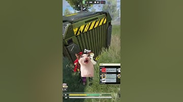 Noob SMRS guy wanted revenge on Meow #callofdutymobile #codmobile #codm 