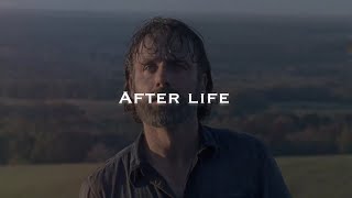 Multifandom After Life