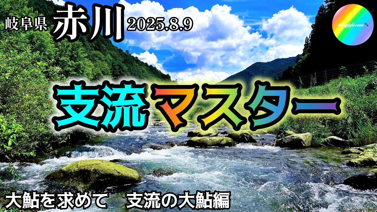 【鮎釣り2025】赤川（岐阜県）｜8月9日（土）【友釣り】※白川、黒川支流