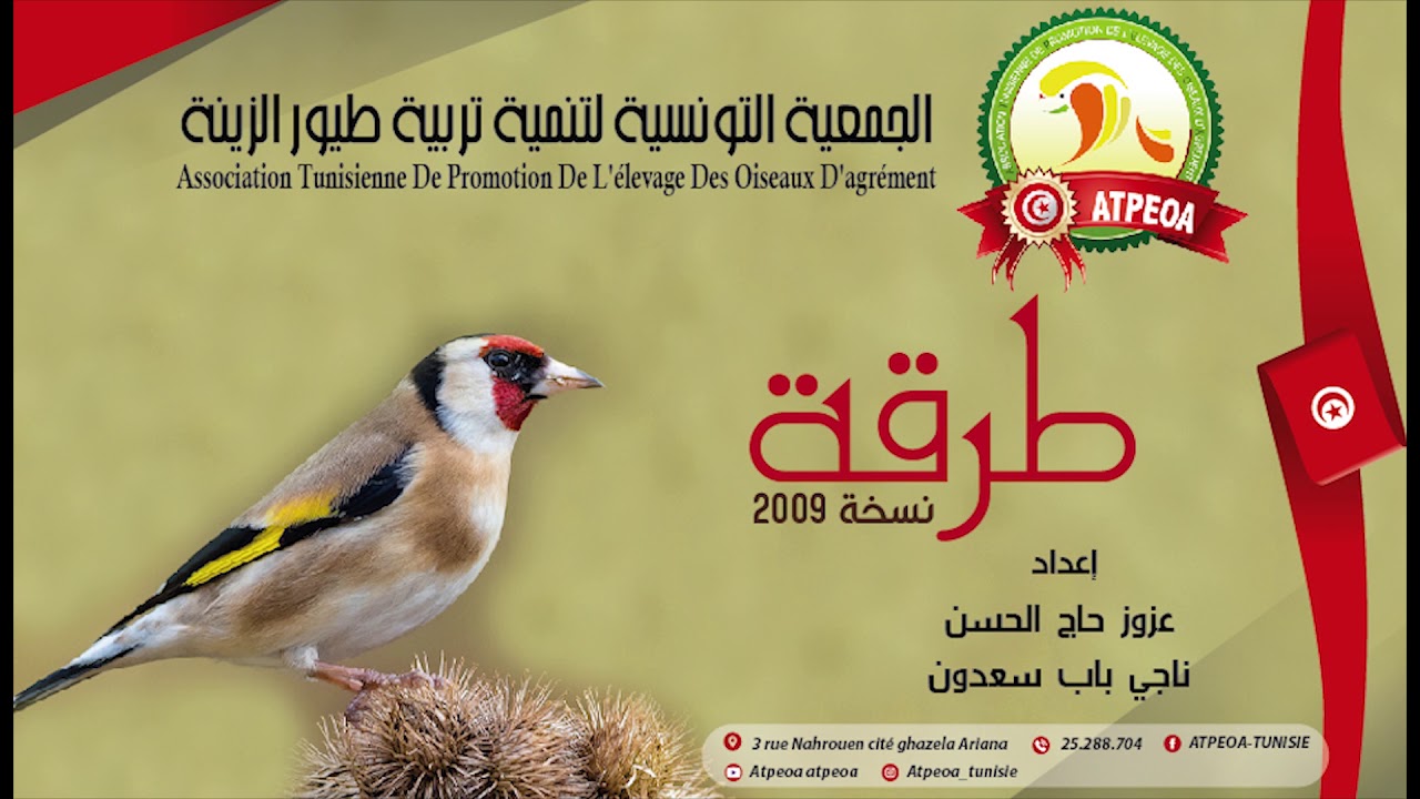 طرقة - تصنيطة 2009