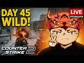 DAY 45 | CS2 | YEU #cs2 #csgo #valorant #dota2 #ishowspeed
